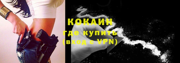 ГАЛЛЮЦИНОГЕННЫЕ ГРИБЫ Коряжма