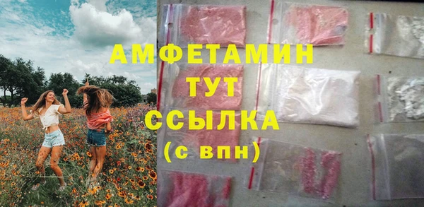 ГАЛЛЮЦИНОГЕННЫЕ ГРИБЫ Коряжма