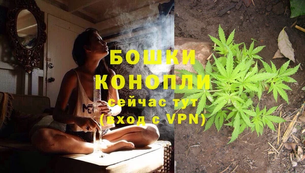 мдпв Костерёво