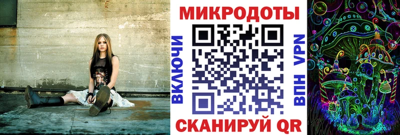 Купить где  Жуковский  Псилоцибиновые грибы Psilocybe 